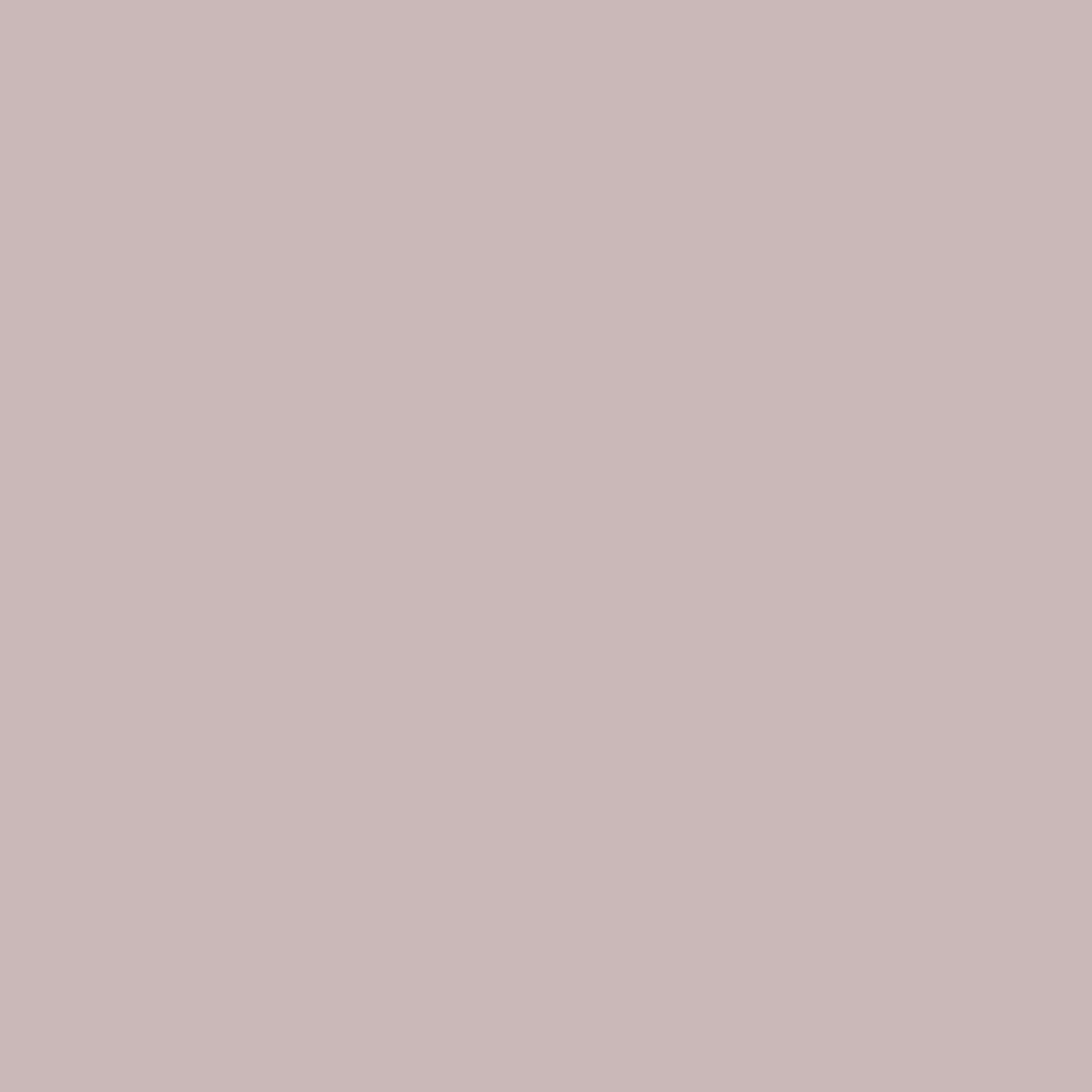 Wall paint Pure Matte - Strawberry Blush - 713LS