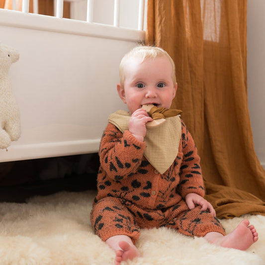 houten vogel bijtring met stof
