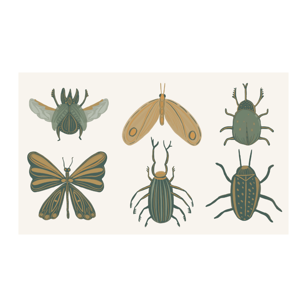 Insectes de la forêt - Stickers muraux chambre d'enfant