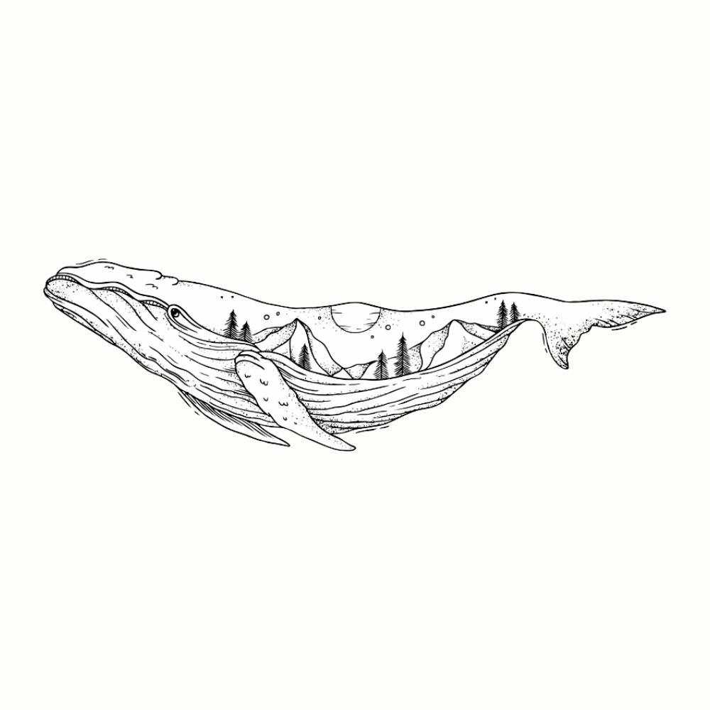 XL walvis - muursticker - kinderkamer