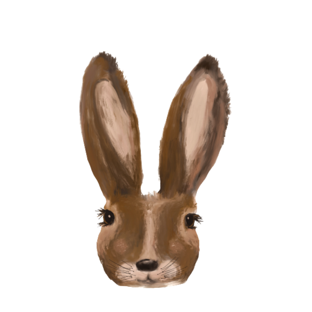 The hare - rabbit wall sticker