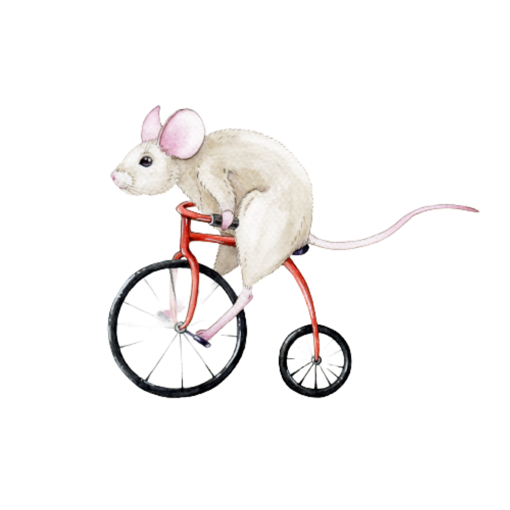 The mouse on an adventure - Animal wall sticker